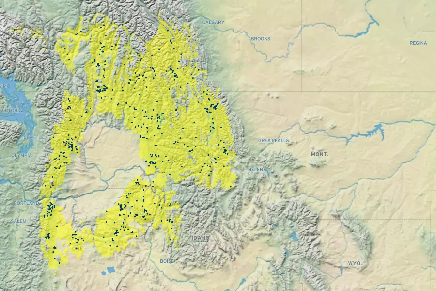 Larix occidentalis Native Range