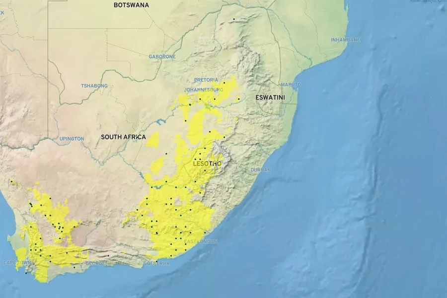 Lasiospermum pedunculare Native Range