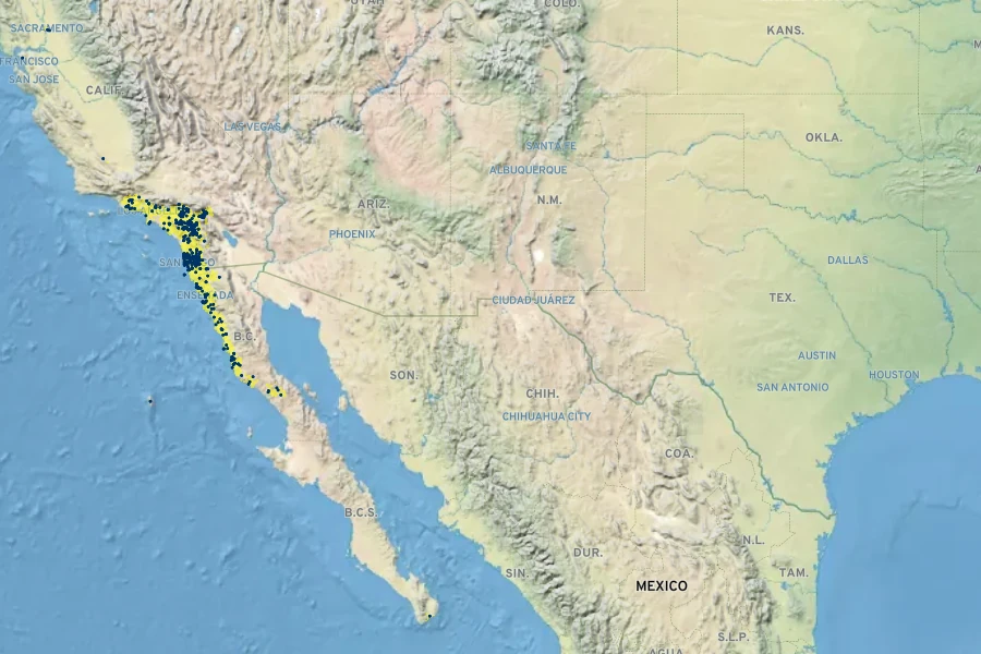 Lasthenia coronaria Native Range