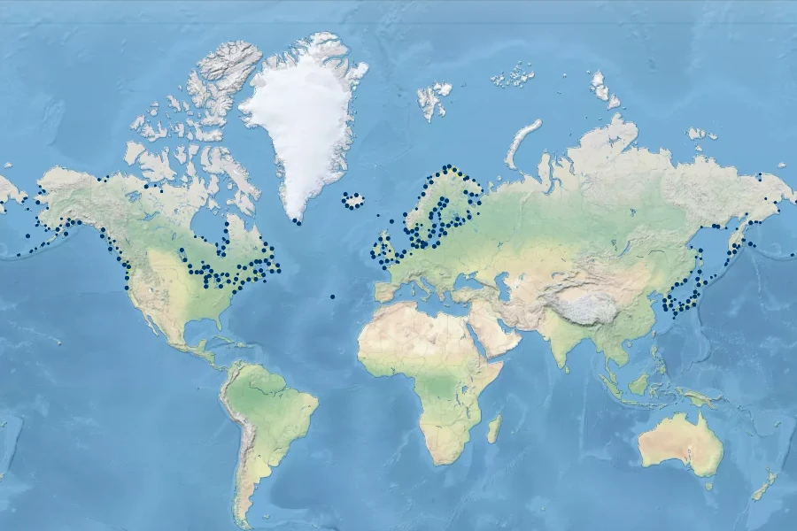 Lathyrus japonicus Native Range