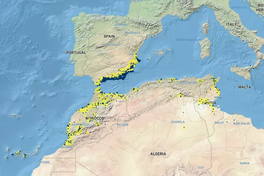 Lavandula multifida Native Range