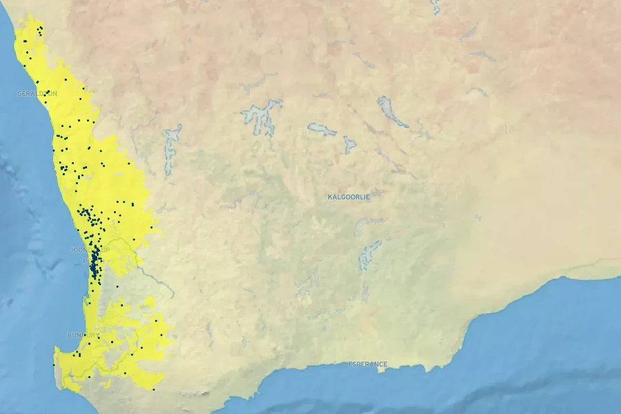 Lechenaultia floribunda Native Range