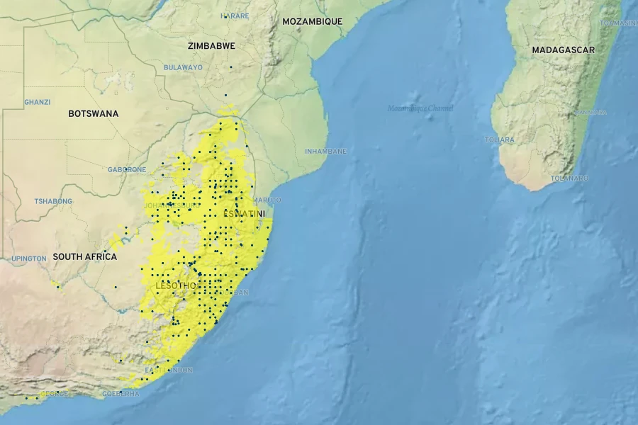 Ledebouria cooperi Native Range