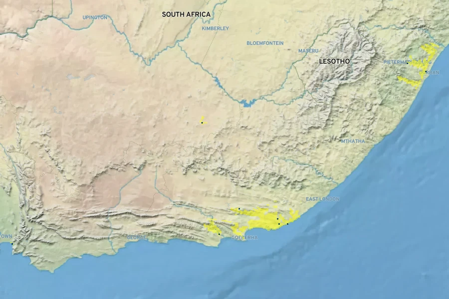 Ledebouria socialis Native Range