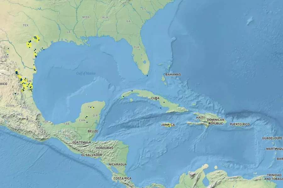 Leersia monandra Native Range