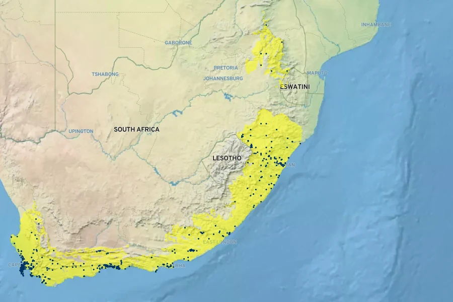 Leonotis leonurus Native Range