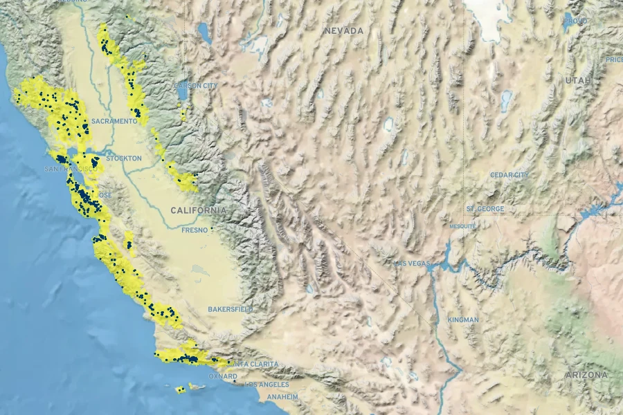 Lepechinia calycina Native Range
