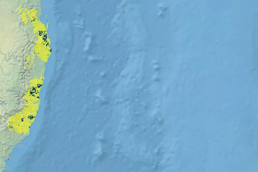 Lepidozamia peroffskyana Native Range