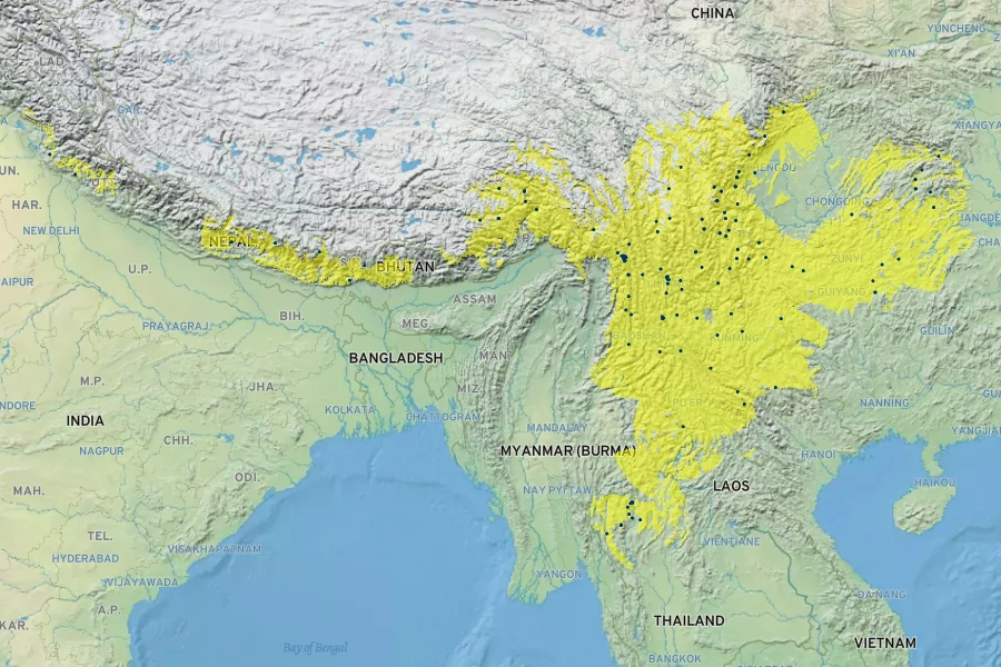 Lepisorus bicolor Native Range