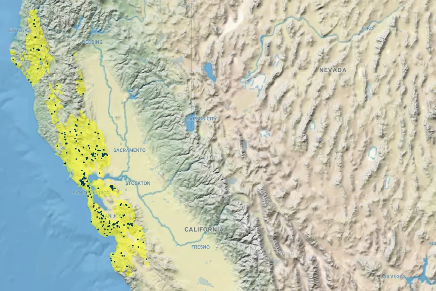 Leptosiphon androsaceus Native Range