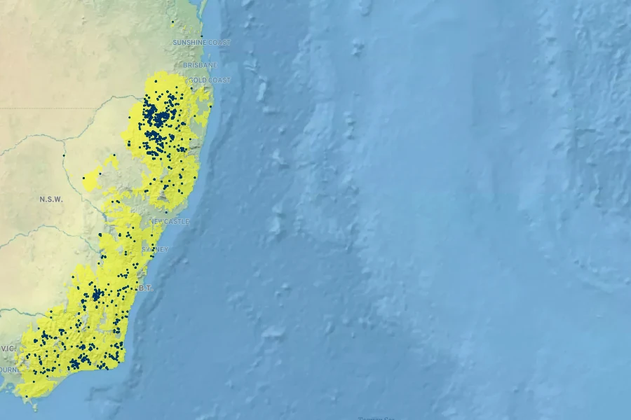 Leptospermum brevipes Native Range
