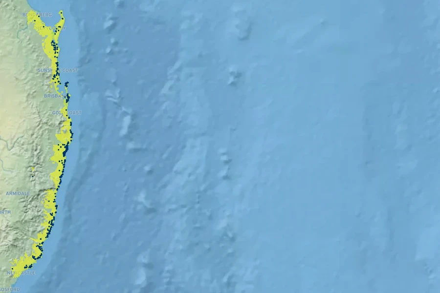 Leptospermum liversidgei Native Range