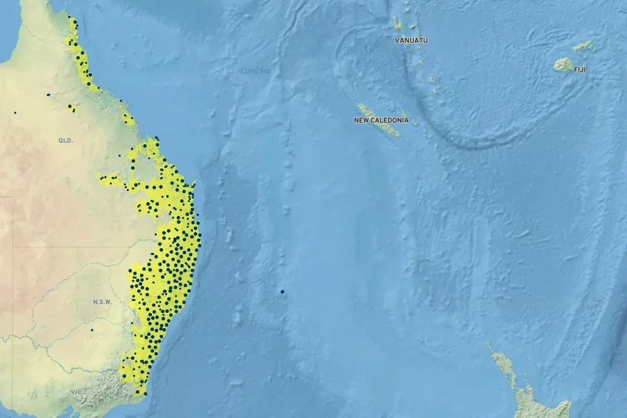 Leptospermum polygalifolium Native Range