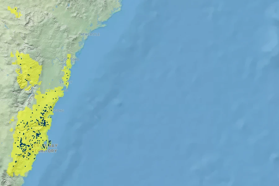 Leptospermum rotundifolium Native Range