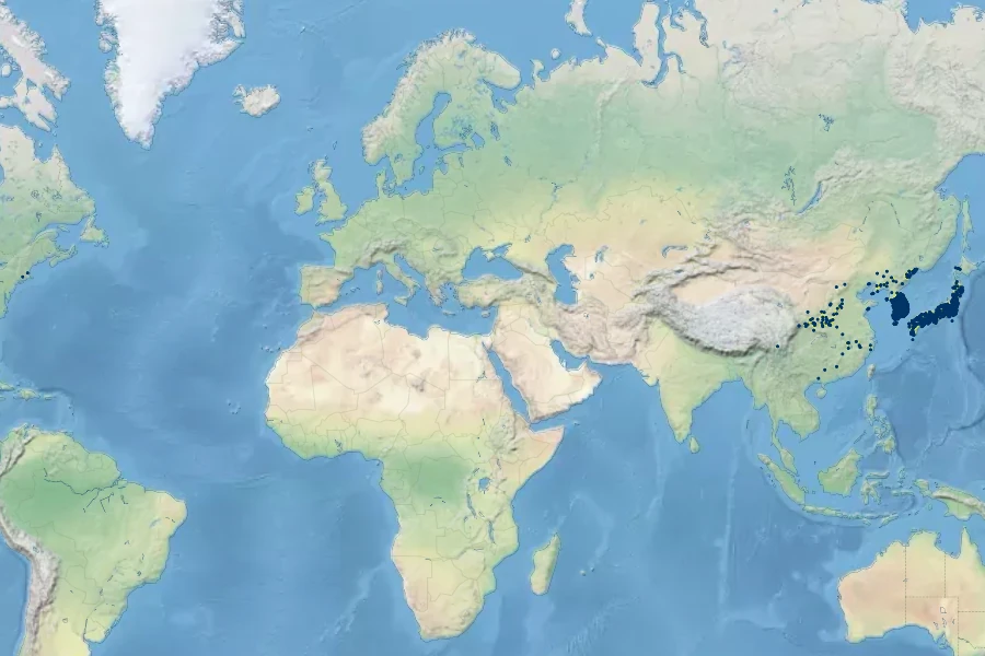 Lespedeza cyrtobotrya Native Range