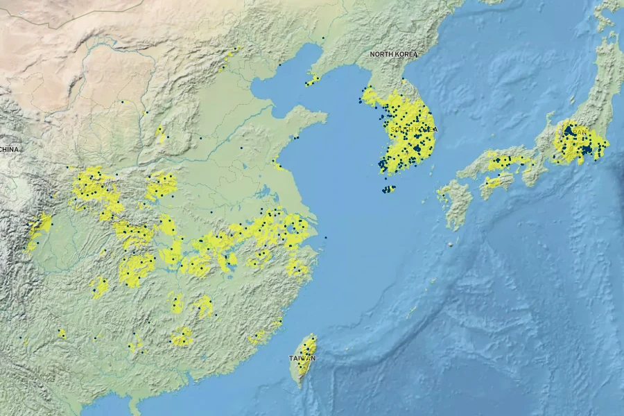 Lespedeza virgata Native Range