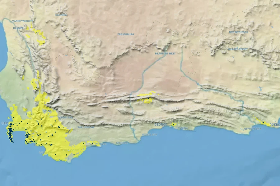 Leucadendron laureolum Native Range