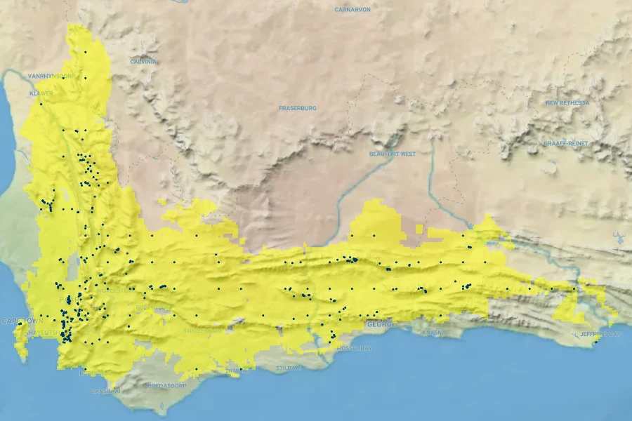 Leucadendron rubrum Native Range