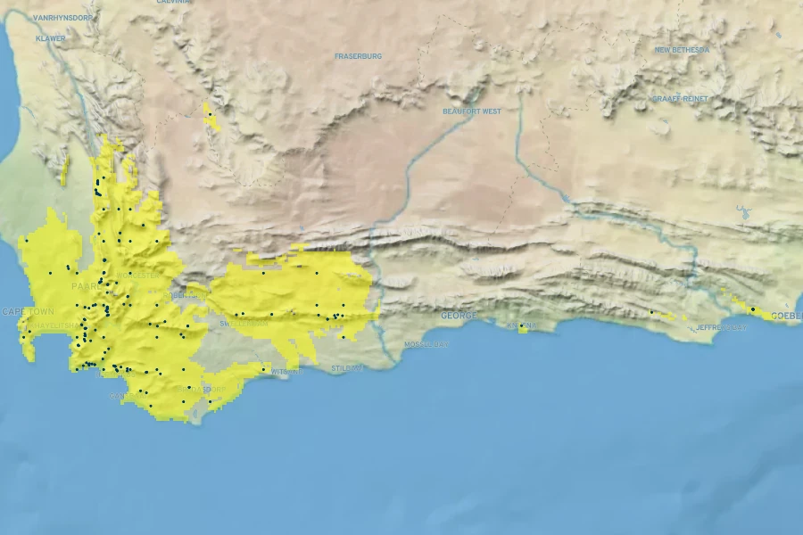 Leucadendron salicifolium Native Range