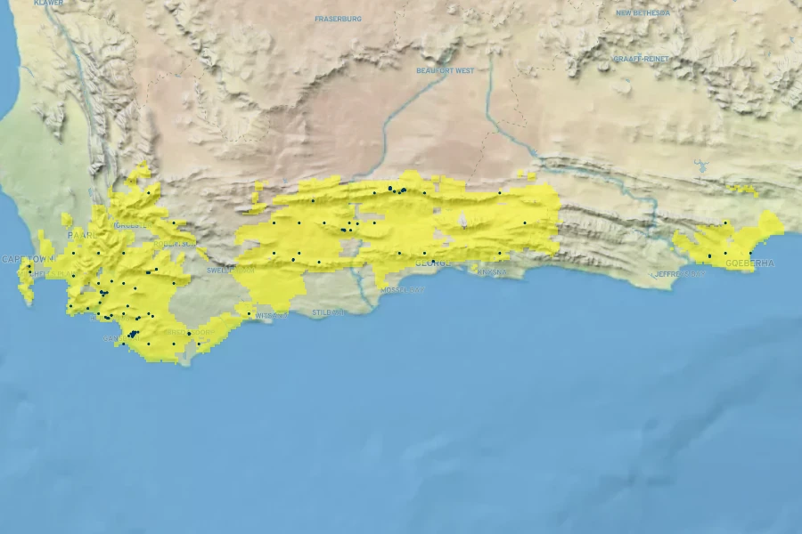 Leucadendron tinctum Native Range