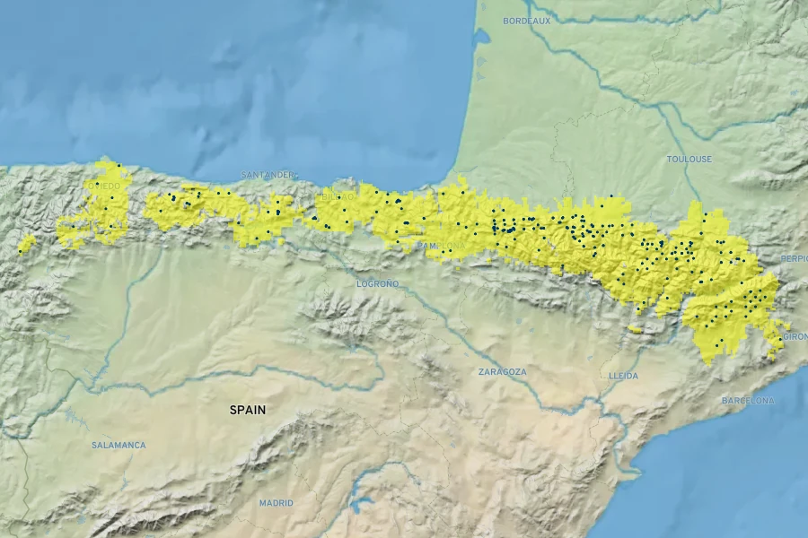 Leucanthemum maximum Native Range