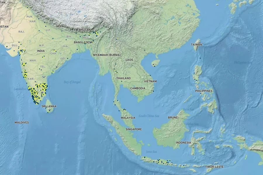 Leucas aspera Native Range