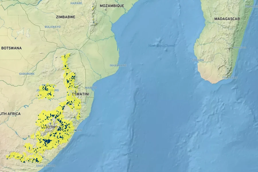 Leucosidea sericea Native Range