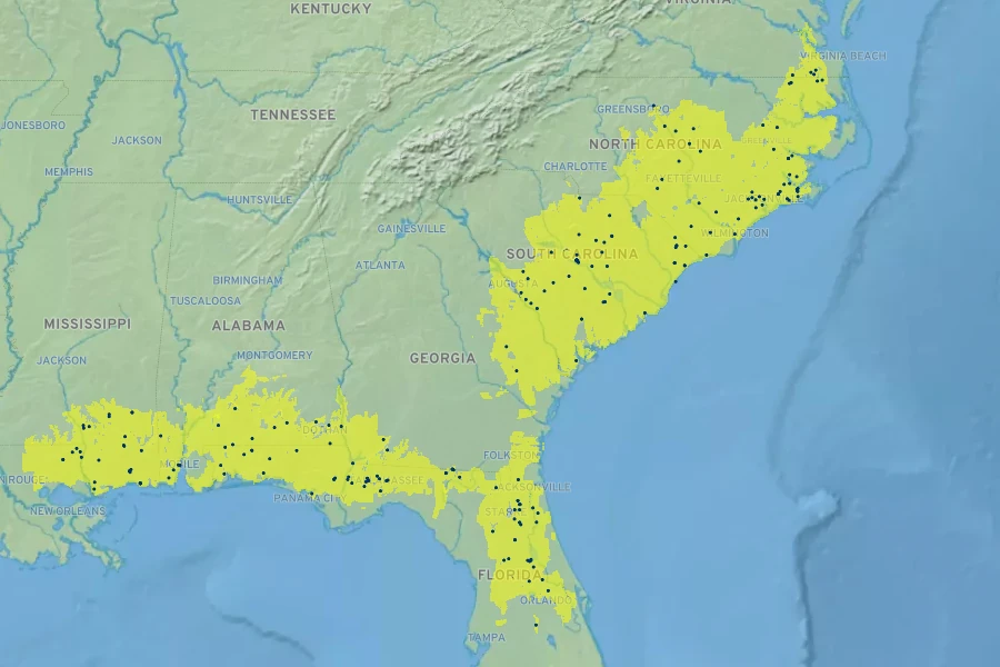 Leucothoe axillaris Native Range