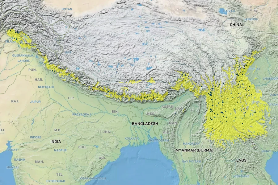 Leycesteria formosa Native Range
