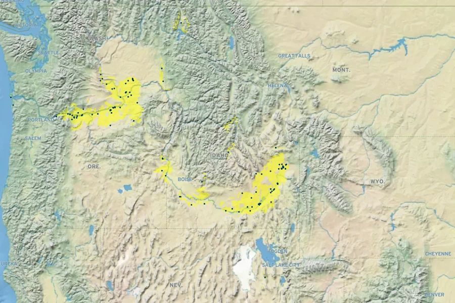 Leymus flavescens Native Range