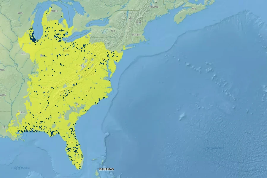 Liatris spicata Native Range