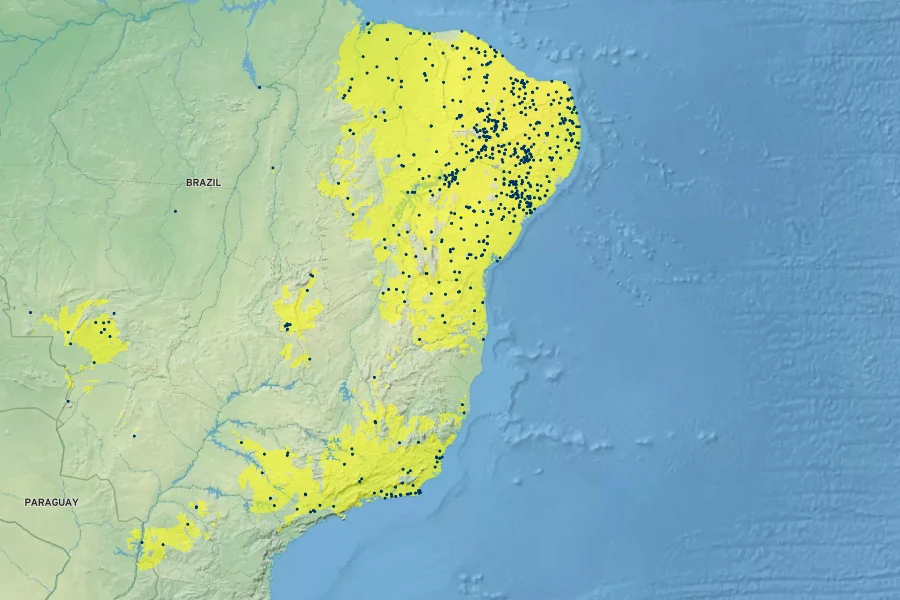 Libidibia ferrea Native Range
