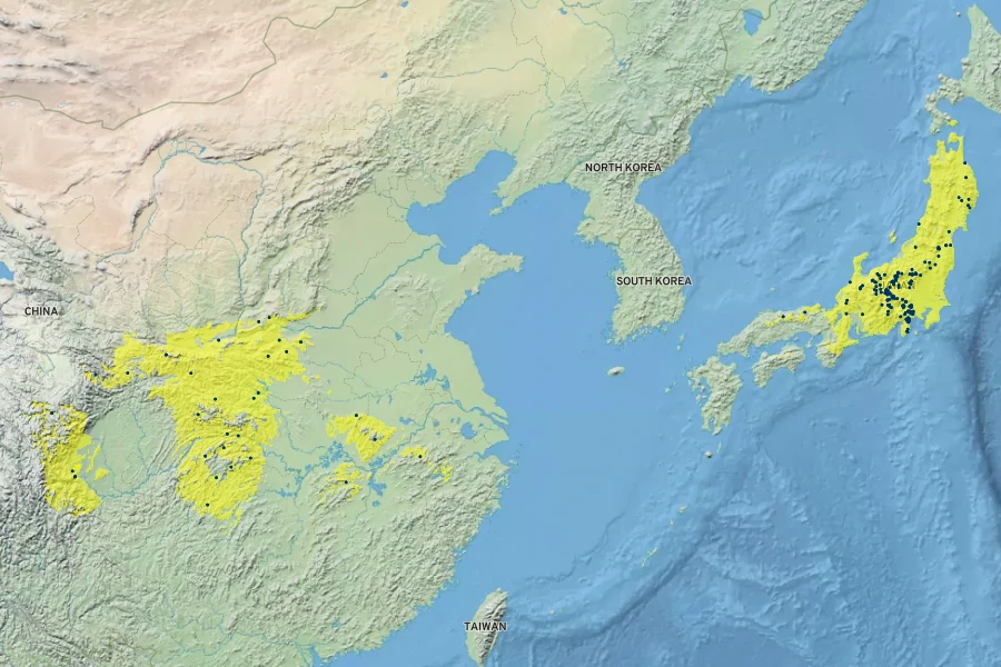 Ligularia dentata Native Range