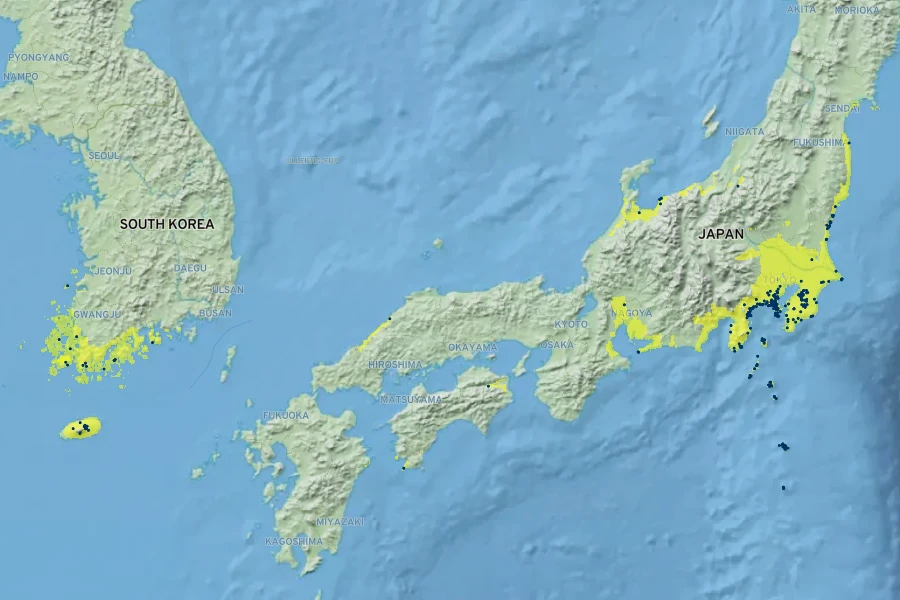 Ligustrum ovalifolium Native Range