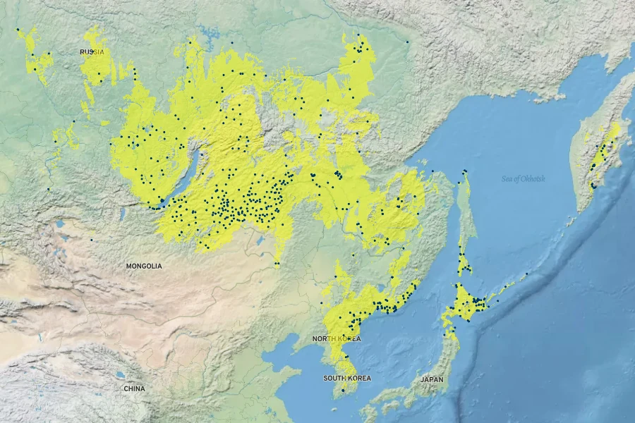 Lilium pensylvanicum Native Range