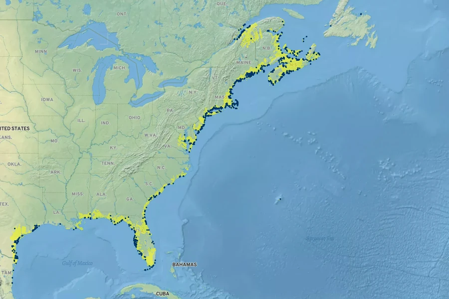 Limonium carolinianum Native Range