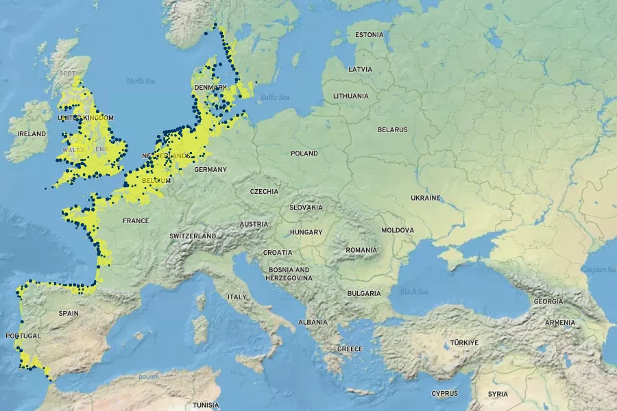 Limonium vulgare Native Range