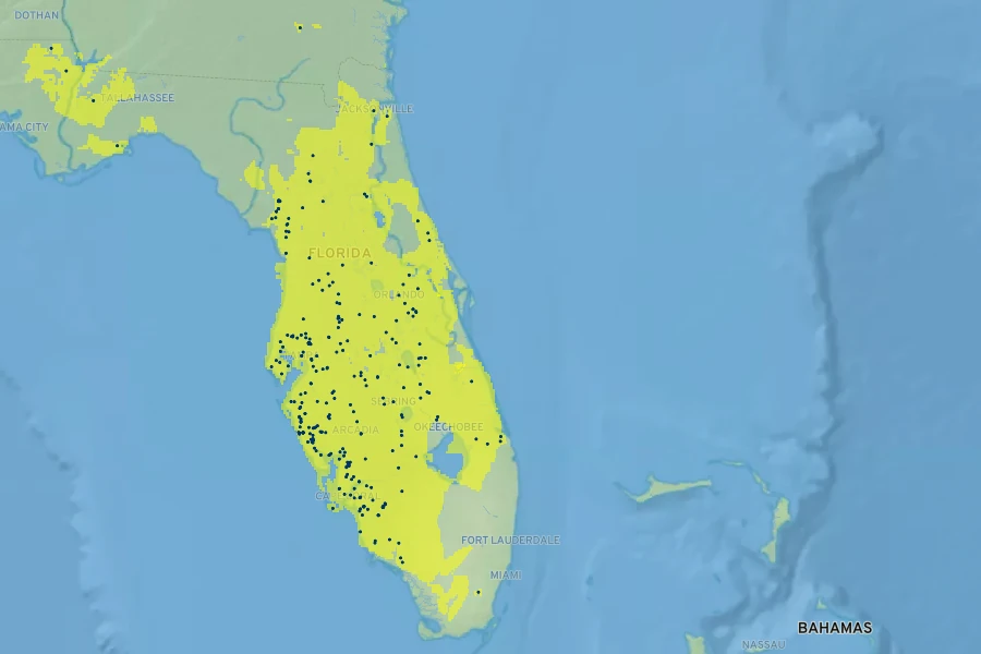 Lindernia grandiflora Native Range
