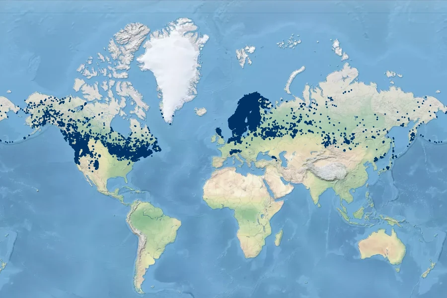 Linnaea borealis Native Range