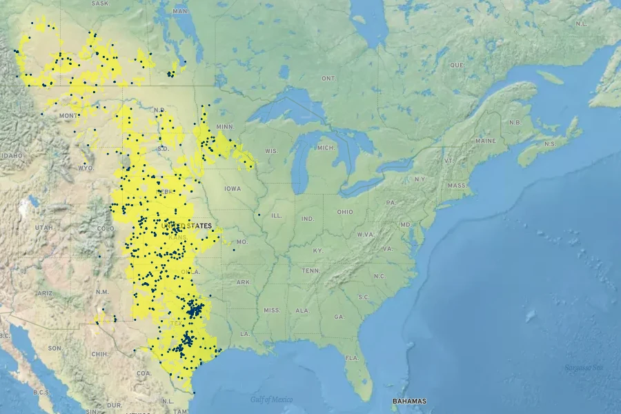 Linum rigidum Native Range