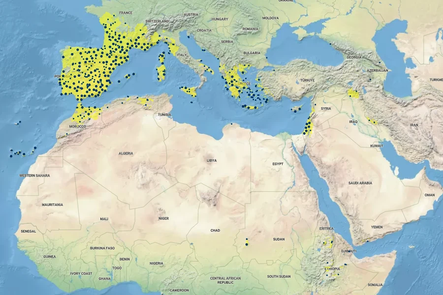 Linum strictum Native Range
