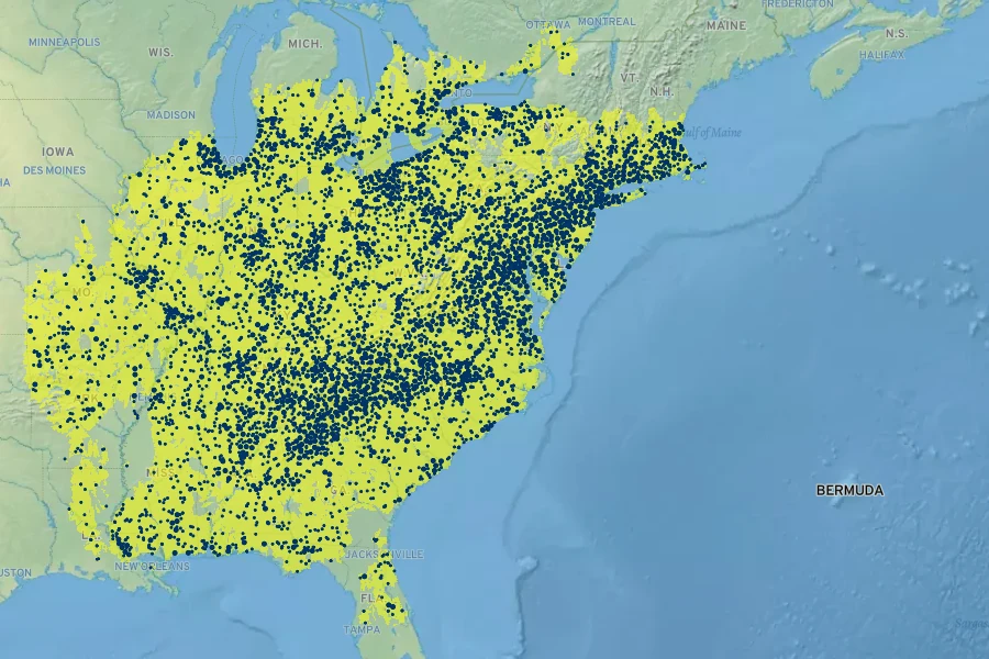 Liriodendron tulipifera Native Range