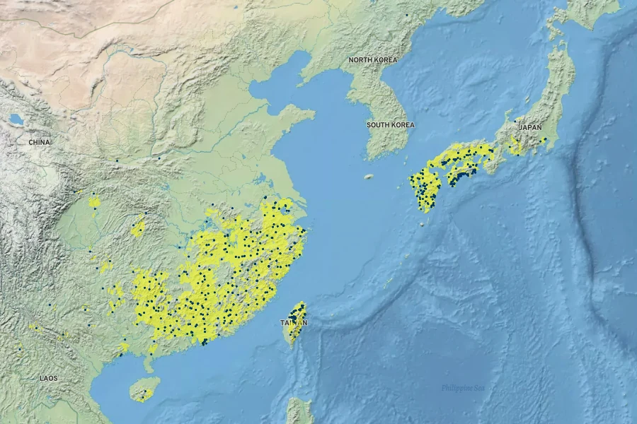 Lithocarpus glaber Native Range