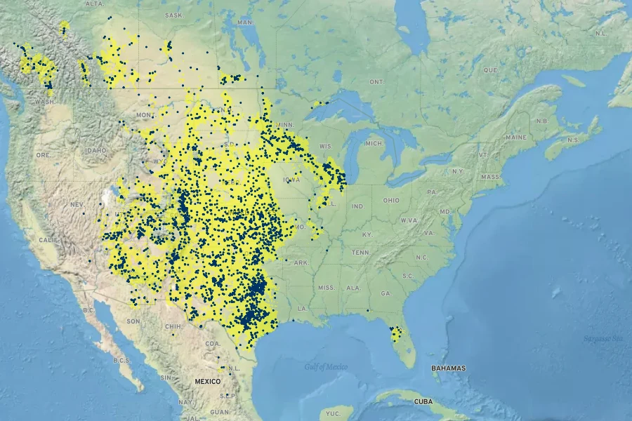 Lithospermum incisum Native Range