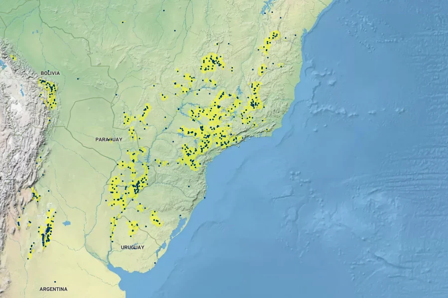 Lithraea molleoides Native Range