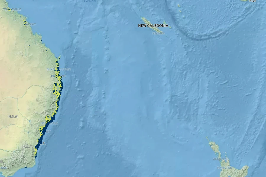 Livistona australis Native Range