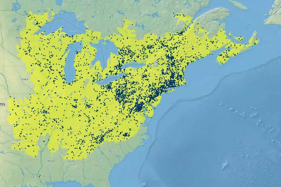 Lobelia inflata Native Range