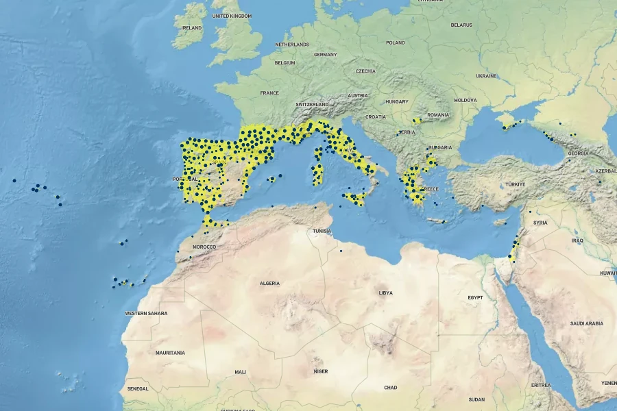 Lolium multiflorum Native Range