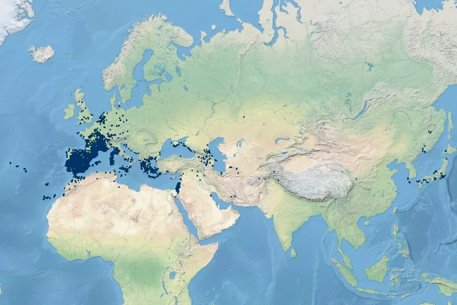 Lolium rigidum Native Range