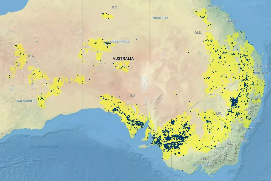 Lomandra leucocephala Native Range